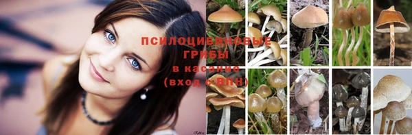 jwh Аркадак