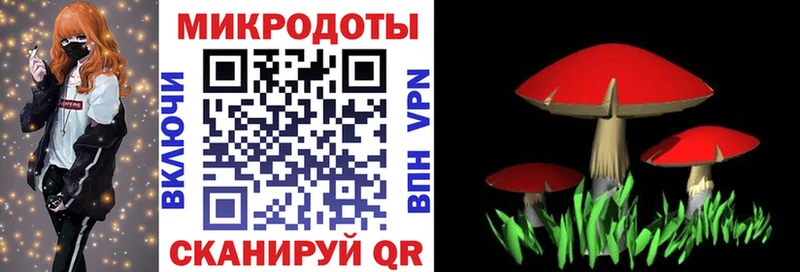 Псилоцибиновые грибы Cubensis  Мирный 